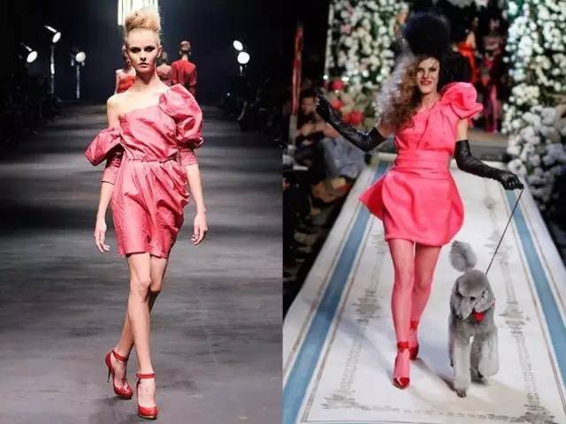 我开始怀念那个夏天歌曲,我开始怀念那些再也回不去的日子