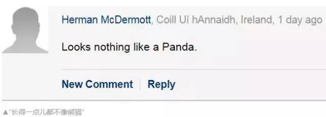 不能笑！因为国宝看了这条新闻能气死