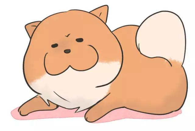 中华名犬唯一上榜的犬,中国顶级中华名犬猎犬