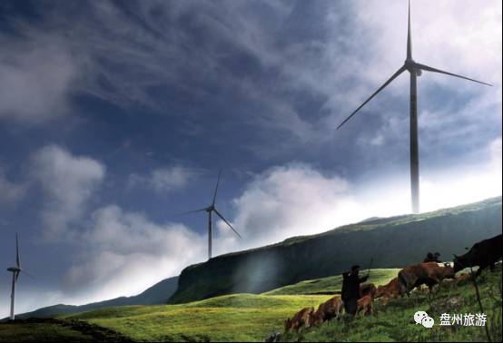 乌蒙大草原自驾攻略,成都到贵州乌蒙大草原旅游攻略