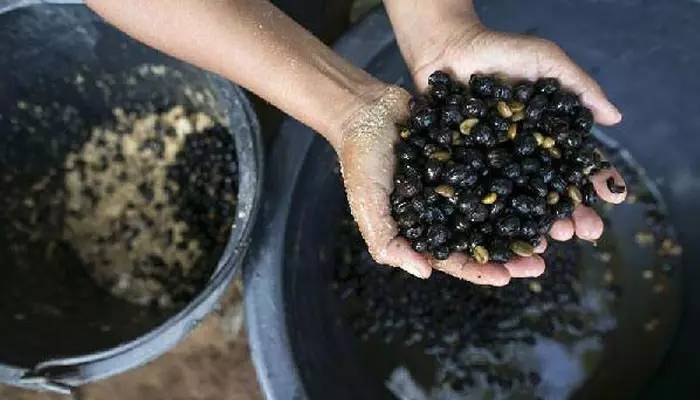 泰好食泰式融合菜小酒馆,泰好食泰式餐厅