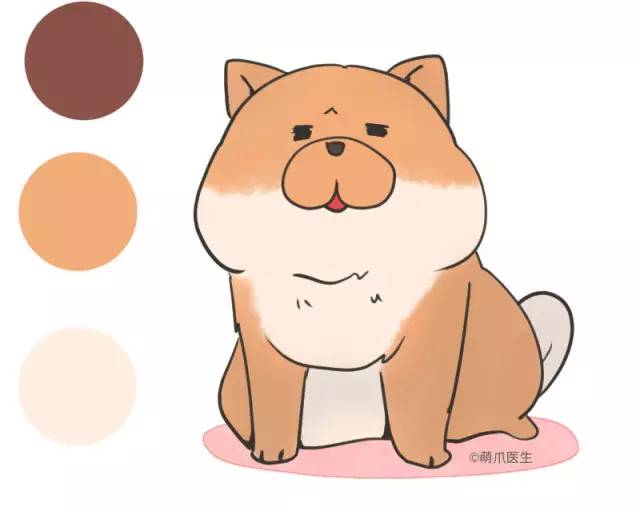 中华名犬唯一上榜的犬,中国顶级中华名犬猎犬