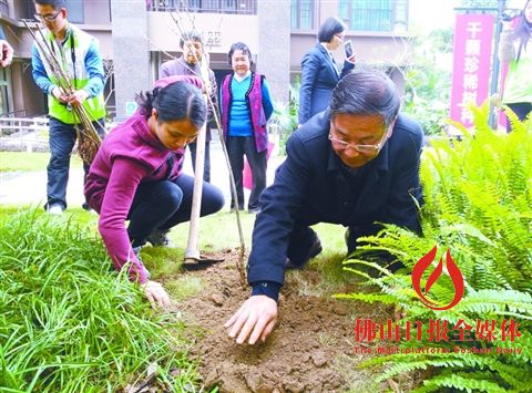 禅城区十大民生项目,佛山禅城民生