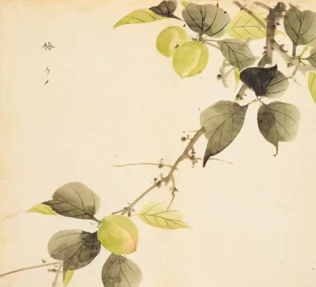 寻溯·花与草的诗情画意