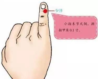 奶水是血造的吗,奶水是女人的骨髓吗