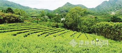 鍗冨勾鍙ら儭濮嬪叴,浜戦渼鍗冨勾鍙ら儭