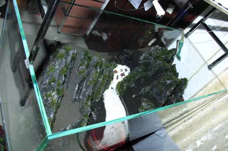 旅游时看到山川河流的感悟,旅游途中看到的景物