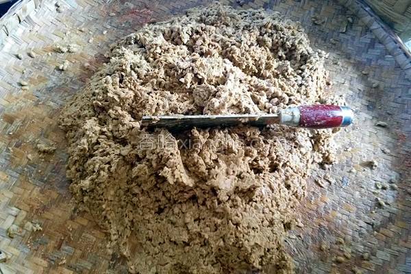 在家自做豆豉方法教程,怎样在家自制豆豉