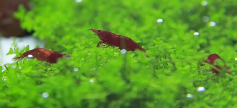 旅游时看到山川河流的感悟,旅游途中看到的景物