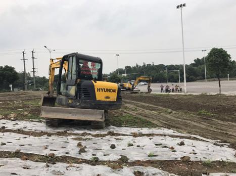 双流赏花一日游最佳景点,双流附近看花景点在哪里