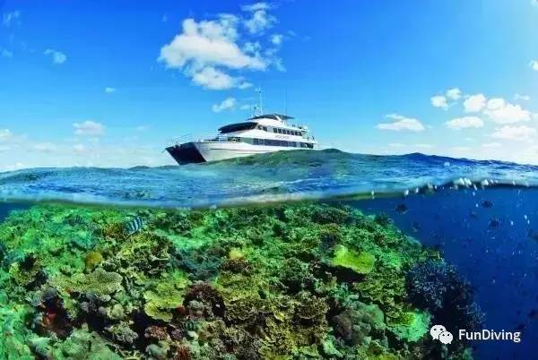 从入门级到朝圣级，船宿该怎么选？