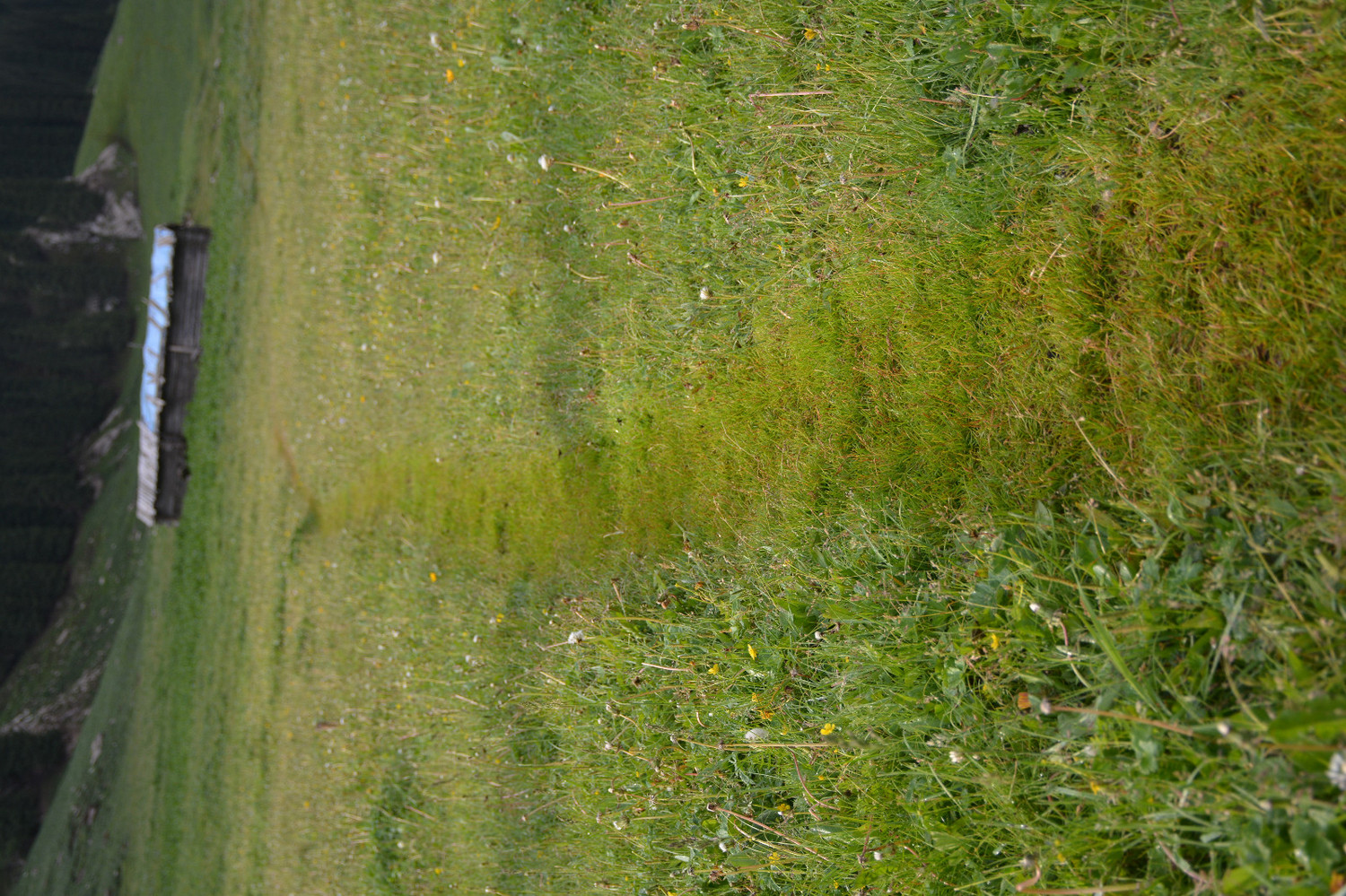 行者无疆-6月乌孙，漂洋过海为圣湖，翻山越岭因初心