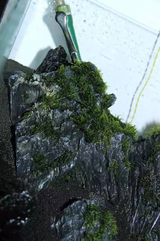 旅游时看到山川河流的感悟,旅游途中看到的景物