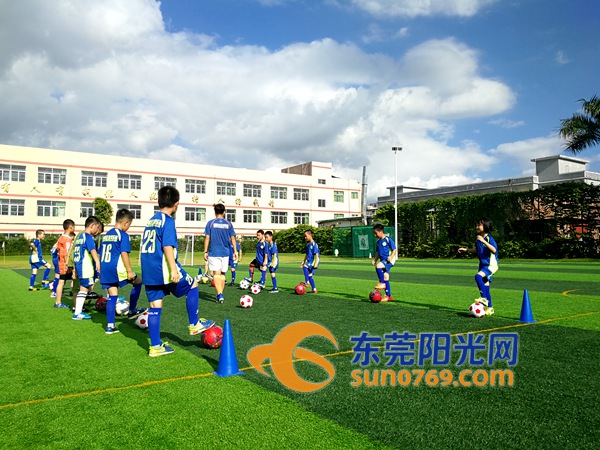 谢岗青少年篮球培训,谢岗足球班