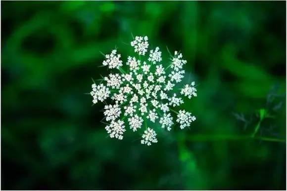 三江学院，小三本的奋斗传奇