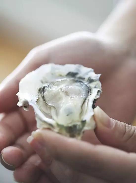 贝隆生蚝,贝隆生蚝和吉拉多生蚝哪种好