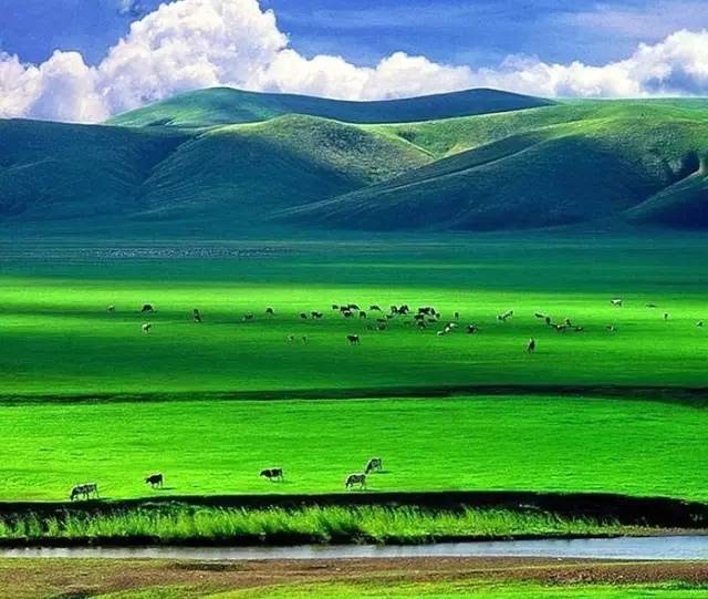 对不起，我去草原了，别再找我了……