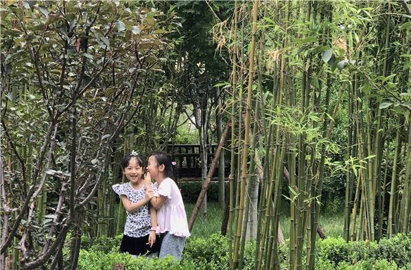 「整治」市北治理“城市斑秃”家门口遇上“口袋公园”