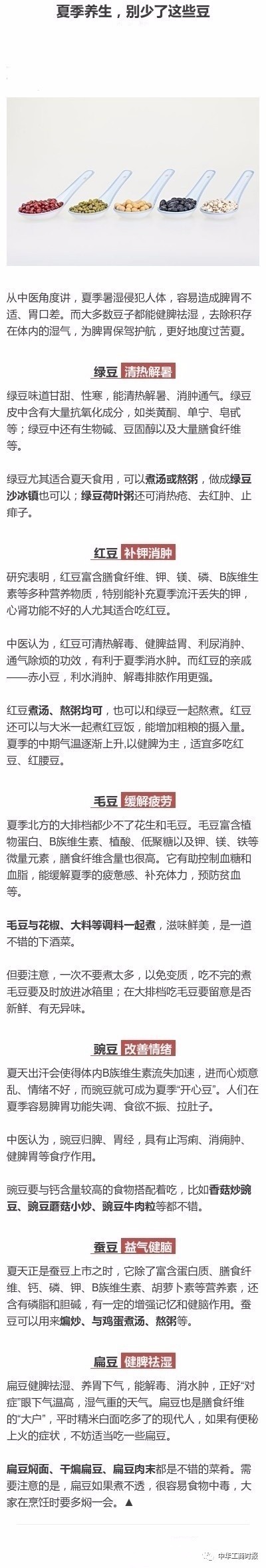 精彩召陵,召陵新闻网