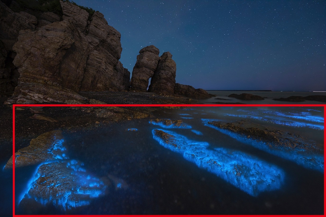 中国荧光海最佳观赏时间和地点,厦门蓝色荧光海是真实的吗