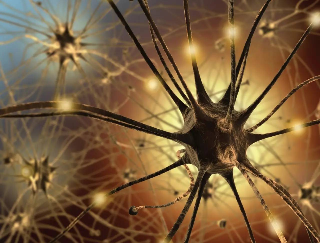 2016全球最受公众关注的科学成果发布！