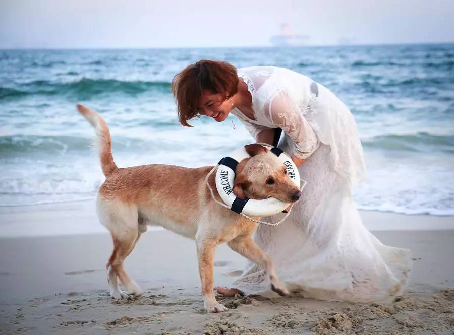 秦皇岛带狗冬天去哪里玩,北戴河三天两晚民宿可带狗