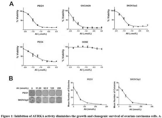 详细说明2种dna损伤修复机制,DNA损伤修复机制有什么