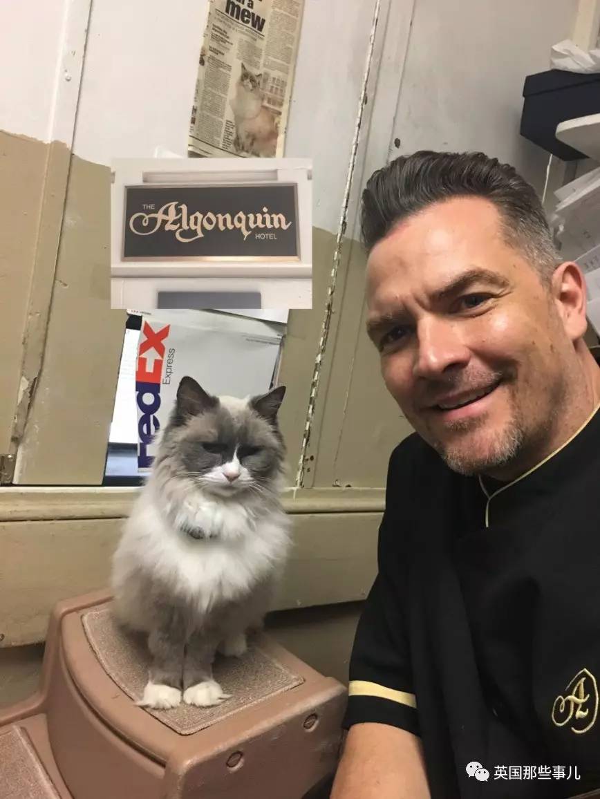 在职7年的喵掌柜终于退休，勤勤恳恳主动加班……对接任的也是放心不下啊……