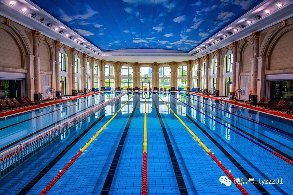 于坚：游泳池记｜天涯·头条