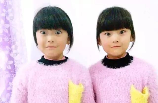 新奇特稀奇!宁夏这所小学竟有10对双胞胎,老师分不清连父母也混淆