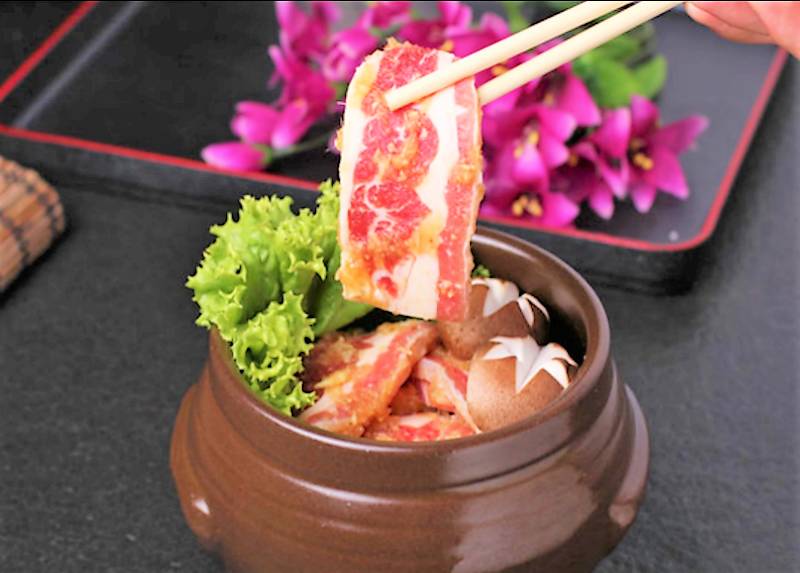 秦皇岛适合带狗去的地方,北戴河的民宿带狗的可以去吗