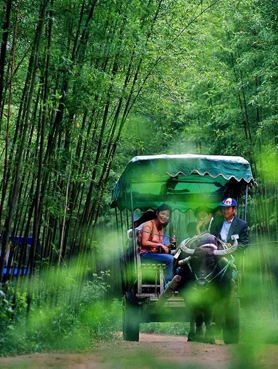 自由漂流推荐,最好的漂流推荐