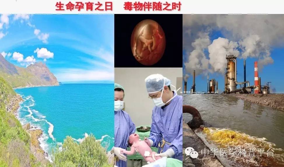 危险的中毒,危险的毒素