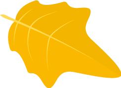 「看定安|节气」立秋之后,炎热依旧,来一场说走就走的避暑之旅吧!