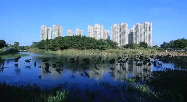 家在岁月变迁中的变化,家乡在不经意间变得越来越美