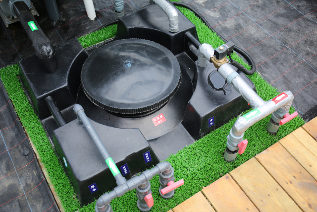 无土栽培蔬菜生产全过程,简易大棚种植无土栽培蔬菜技术