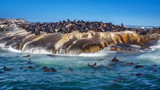 战狼边境线搏斗,战狼丛林越野骑行