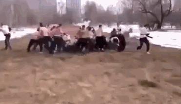 vg有哪些游戏,vg十大必玩游戏