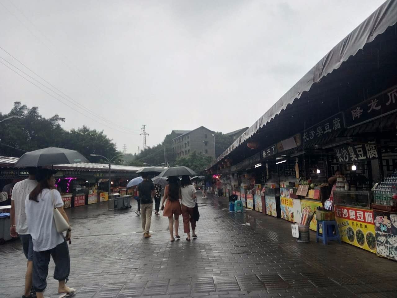 户外小白成长记,户外小白进阶课