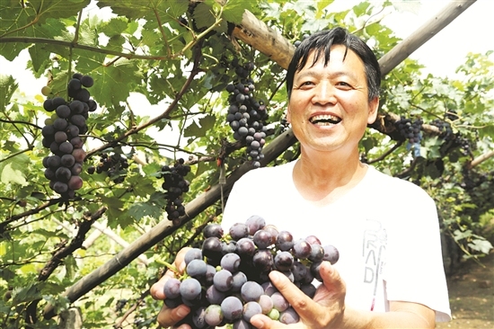 真抓实干奋力开创乡村振兴新局面,真抓实干全面推进乡村振兴