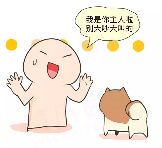 我家博美犬长得怎么样,博美犬8岁是老狗吗