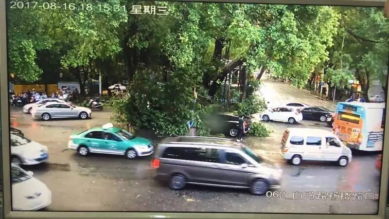 福州突然下起冰雹！气温秒降11℃！雨后的福州简直美如画！「新闻客」