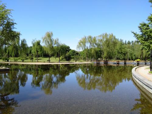 锤子坚果pro手机上手测评,锤子手机坚果pro2开箱评测