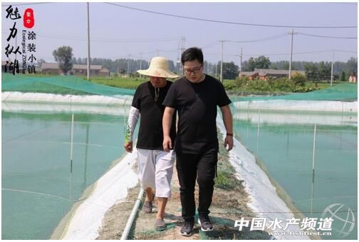 泥鳅养殖技术的最新视频,泥鳅养殖技术和视频