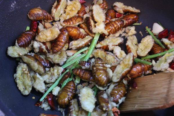 干煸蚕蛹图片高清图片,干煸蚕蛹多少钱