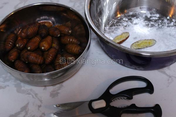 干煸蚕蛹图片高清图片,干煸蚕蛹多少钱