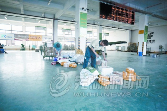 无为县电商平台,淮阳区电子商务进农村