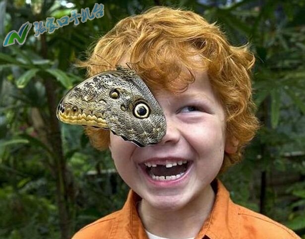 张家口新闻联播回放10月21号,张家口新闻台