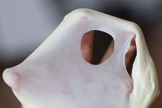 为什么做面包不成功,自己做的面包为什么不松软