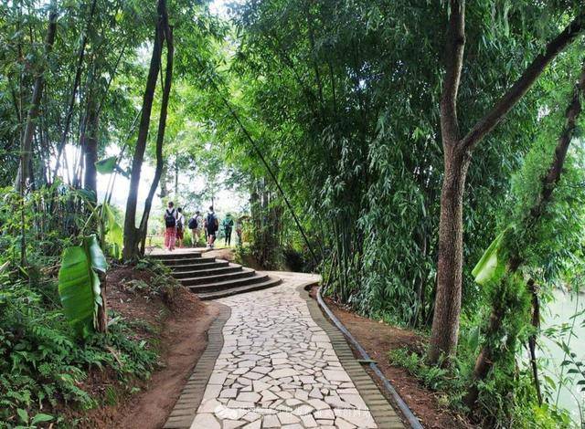 万峰林优美景色诗句,描写万峰林最美诗句